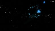 7364:5:00000129.jpg