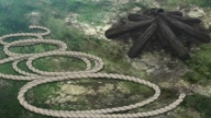 7738:2:00000134.jpg