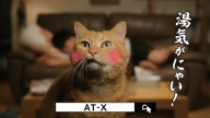 7749:4:00000026.jpg