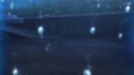 7749:5:00000121.jpg