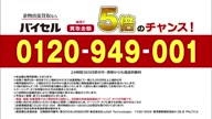 7753:10:00000183.jpg