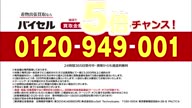 7753:11:00000001.jpg