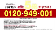 7753:11:00000002.jpg