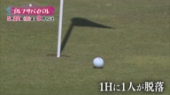 7753:11:00000173.jpg