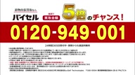 7753:11:00000183.jpg