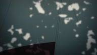 7753:15:00000087.jpg