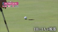 7753:16:00000173.jpg