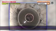 7753:7:00000171.jpg
