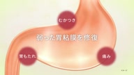 7753:9:00000183.jpg