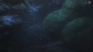 7768:10:00000127.jpg