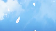 7768:12:00000013.jpg