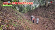 7768:12:00000171.jpg