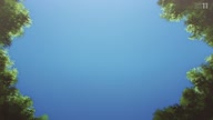 7768:13:00000091.jpg