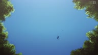 7768:13:00000120.jpg