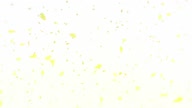 7768:13:00000135.jpg