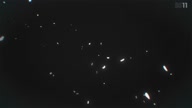 7768:5:00000085.jpg