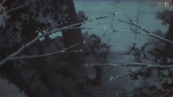7768:6:00000133.jpg