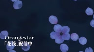 7768:6:00000160.jpg