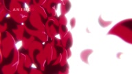7768:7:00000184.jpg