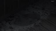 7772:11:00000038.jpg