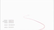 7772:12:00000150.jpg