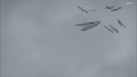 7772:15:00000212.jpg