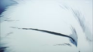 7772:17:00000009.jpg