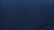 7772:19:00000006.jpg