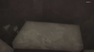 7772:19:00000035.jpg