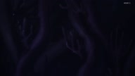 7772:19:00000101.jpg