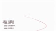 7772:2:00000001.jpg
