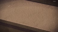 7772:2:00000054.jpg