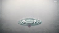 7772:24:00000131.jpg