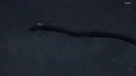 7772:26:00000052.jpg