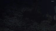 7772:4:00000055.jpg