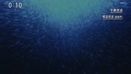 7772:5:00000155.jpg