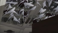 7772:6:00000081.jpg