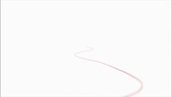 7772:7:00000150.jpg