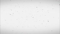 7778:11:00000024.jpg