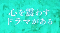 7778:13:00000029.jpg