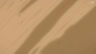 7778:13:00000133.jpg