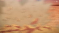 7778:13:00000146.jpg