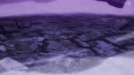 7778:6:00000038.jpg