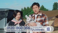 7778:8:00000168.jpg