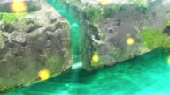 7780:70:00000068.jpg