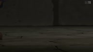 7780:73:00000134.jpg
