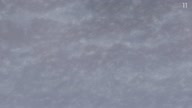 7780:78:00000116.jpg