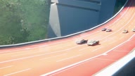 7780:81:00000001.jpg