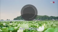7780:81:00000171.jpg