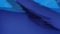 7780:85:00000069.jpg